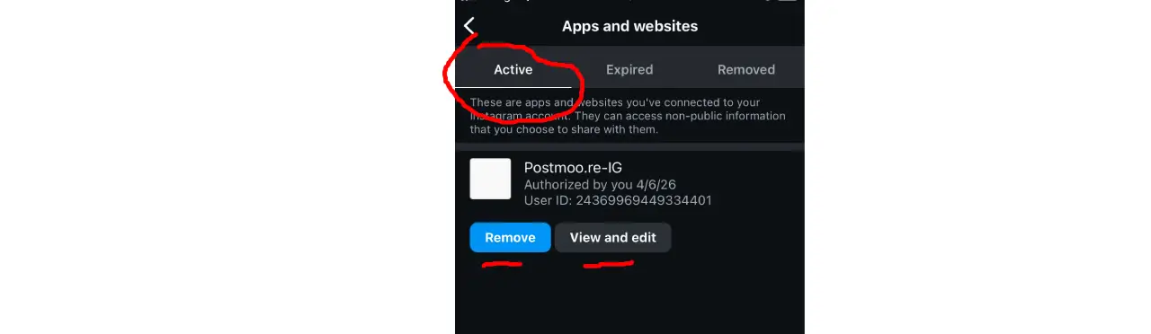 Instagram Active Permissions Tab