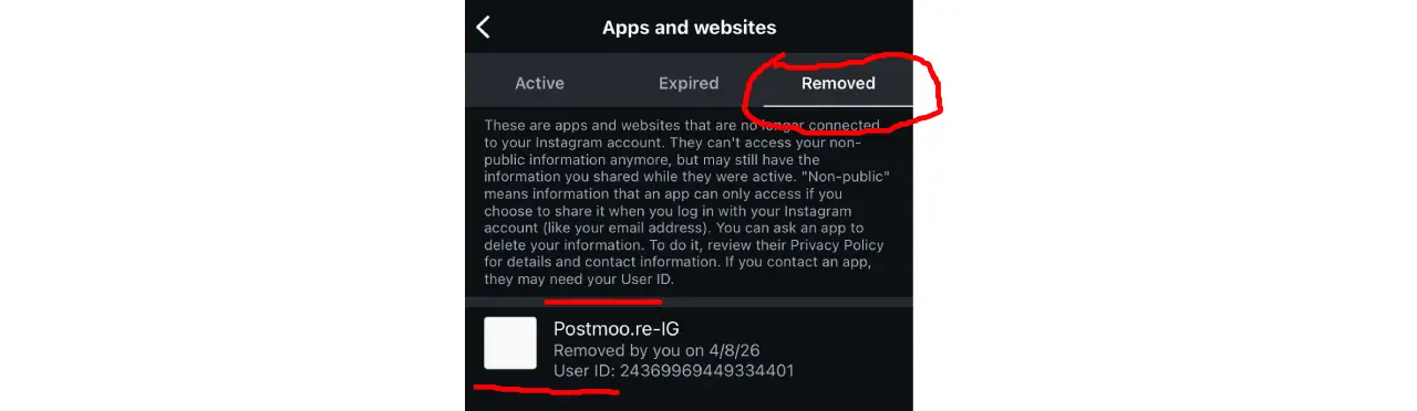 Instagram Removed App Tab
