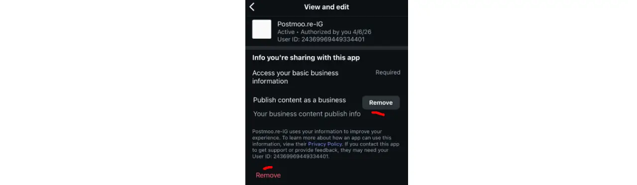 Instagram View and Edit Permission Tab